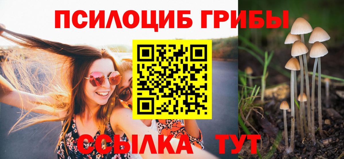 Зима  Псилоцибиновые грибы мухоморы  Вход с VPN  Галлюциногенные грибы Cubensis 